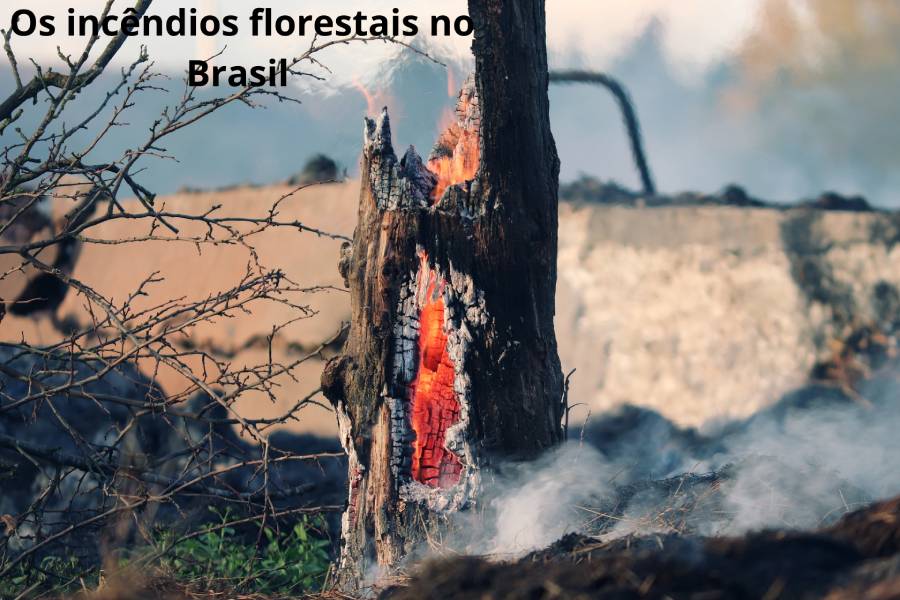 Os incêndios florestais no Brasil